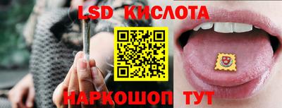 прущие грибы Рязань