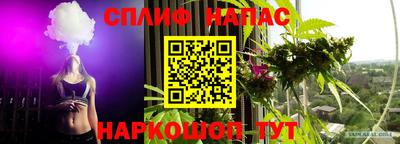 прущие грибы Рязань