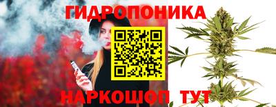 прущие грибы Рязань