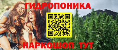 прущие грибы Рязань