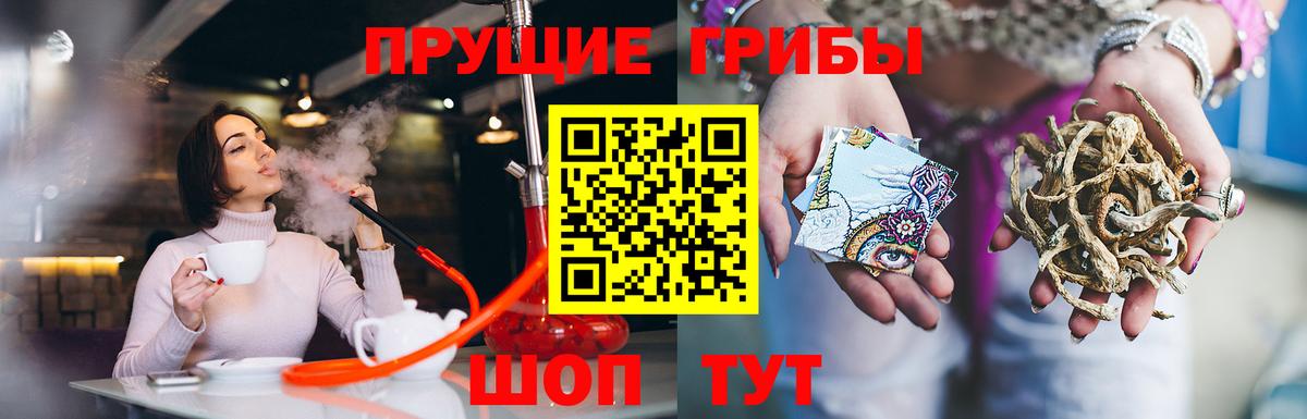 Псилоцибиновые грибы Psilocybine cubensis  Галлюциногенные грибы Psilocybe  Вход с VPN  Пугачёв 